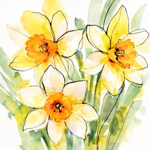 Narcisos amarillos en flor