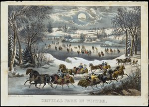 Central Park en invierno
