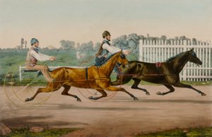 Flora Temple y Highland Maid