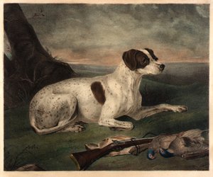 Juno de Nathaniel Currier