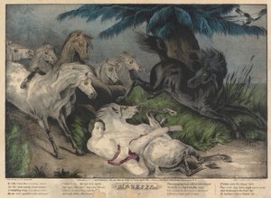 Mazeppa, placa 3 (rodeada de caballos salvajes)