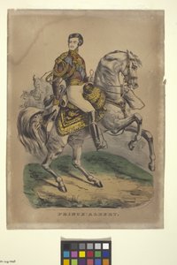 Príncipe Alberto (litografía coloreada a mano) de Nathaniel Currier