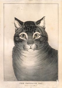 El gato favorito, 1838-46 de Nathaniel Currier
