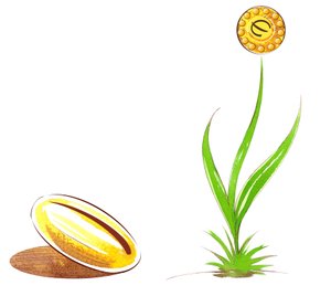 Semilla y brote - ilustración de alegoría financiera de Neale Osborne