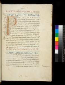 Ms 394.1. Plinio el Viejo, Historia naturalis, f.1r. Inicial iluminada [P] con decoración de tallo de vid blanca (inacabada), Nápoles, mediados del siglo XV, c.1442 (pergamino)
