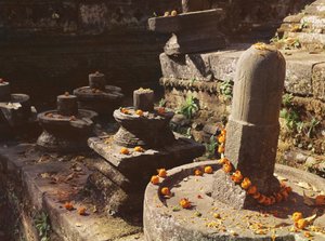 Shiva lingams en el Templo Pashupatinah