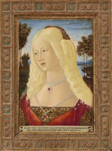Retrato de una dama, c. 1485 de Neroccio de Landi
