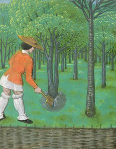 Roy 14 E VI f.28 Hombre con pala en un huerto, de 