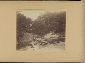 Alto Nepean de New South Wales Government Printing Office