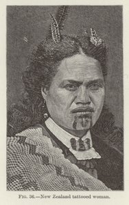 Mujer tatuada de Nueva Zelanda de New Zealand School