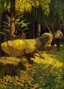 Ilustración para Robinson Crusoe de Newell Convers (after) Wyeth
