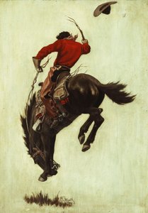 Bronco salvaje
