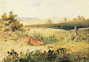 Liebre en un paisaje, 1827 de Newton Fielding