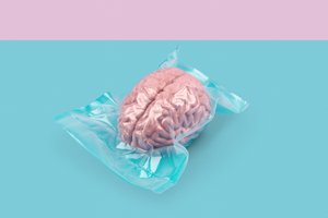Cerebro, 2020 (foto) de Niccolò Fioriti