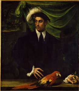 Retrato de un joven con loro de Niccolò dell Abbate