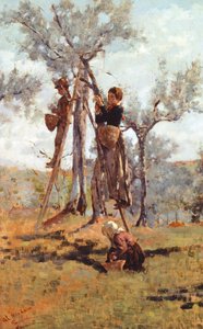 La recolección de la aceituna, hacia 1892 (óleo sobre lienzo)