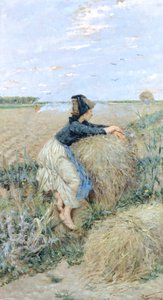 Hierba de trigo en Tombolo de Niccolo Cannicci
