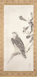 Hawk Perched On A Branch (tinta sobre papel) de Nichokuan Soga