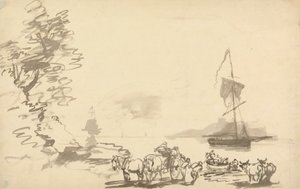 Estudio de la costa de Nicholas Pocock