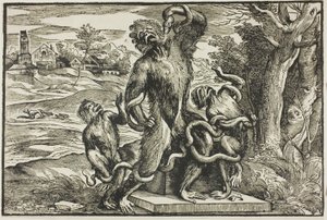 Laocoonte de Nicolò Boldrini