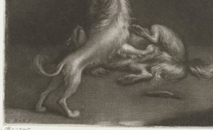 Dos perros jugando de Nicolaas Verkolje