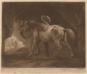 El caballo orinando