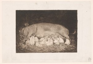 Cerda con lechones de Nicolaas van der Waay