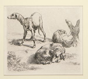 2 aguafuertes de El Conjunto de Varios Animales, con el hombre bajo los árboles, el llamado Hombre de Nicolaes Berchem