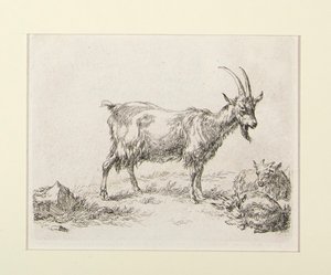 6 grabados de de Nicolaes Berchem