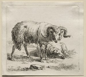 Animalia: Carnero y Oveja de Nicolaes Berchem