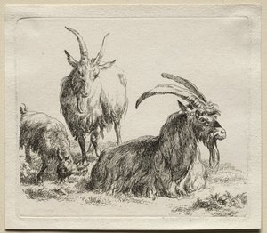 Animalia: Tres cabras de Nicolaes Berchem