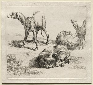Animalia: Tres perros de caza de Nicolaes Berchem