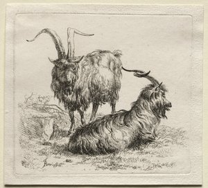 Animalia: Dos cabras de Nicolaes Berchem