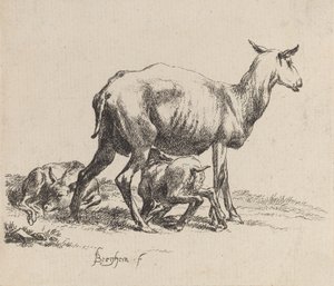 Oveja amamantando a su cordero de Nicolaes Berchem