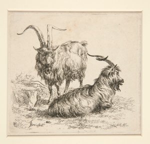 Cabras (de de Nicolaes Berchem