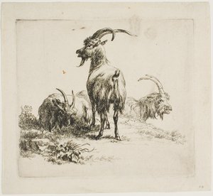 Cabras, de varios animales de Nicolaes Berchem