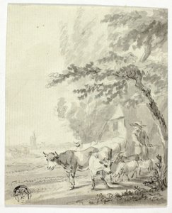 Hombre pastoreando vacas y ovejas