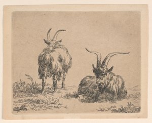Dos cabras de Nicolaes Berchem