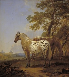 Dos caballos en un paisaje de Nicolaes Berchem