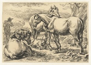 Tres caballos
Animales (título de la serie)