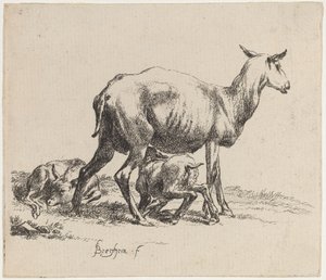 Oveja amamantando a su cordero de Nicolaes Pietersz Berchem