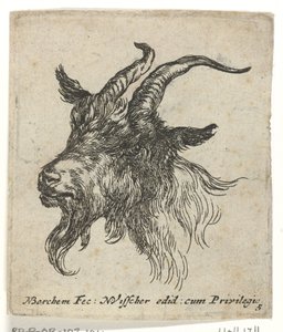 Cabeza de cabra
Animales (título de la serie) de Nicolaes Pietersz Berchem
