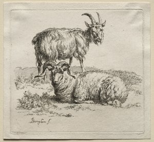 Carnero y Cabra de Nicolaes Pietersz. Berchem