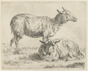 Staand en liggend schaap Schapen (título de la serie) Animales dibujados a la vida e impresos con agua para un aire fuerte por Studio and Art of Nicolai Berchem (título de la serie) de Nicolaes Pietersz Berchem
