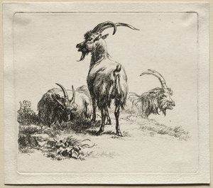 Tres cabras de Nicolaes Pietersz. Berchem