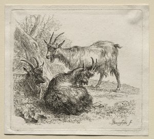 Tres cabras de Nicolaes Pietersz. Berchem