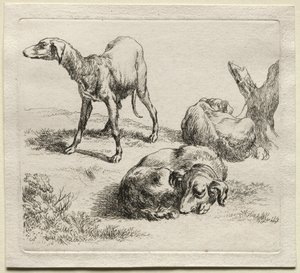 Tres perros de caza de Nicolaes Pietersz. Berchem