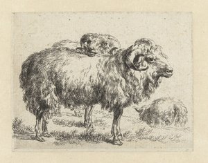Twee rammen en een schaap Schapen (título de la serie) Animales dibujados a la vida e impresos con agua para un aire fuerte por Studio and Art of Nicolai Berchem (título de la serie) de Nicolaes Pietersz Berchem