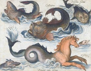 Caballito de mar y criaturas acuáticas imaginarias de Nicolaes de (after) Bruyn