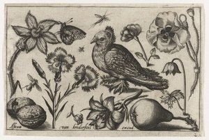 Flores, una pera y una paloma. Pájaros, flores, insectos, etc. (título de la serie)